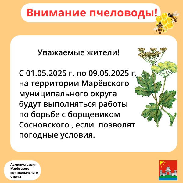 Обработка борщевика Сосновсого.